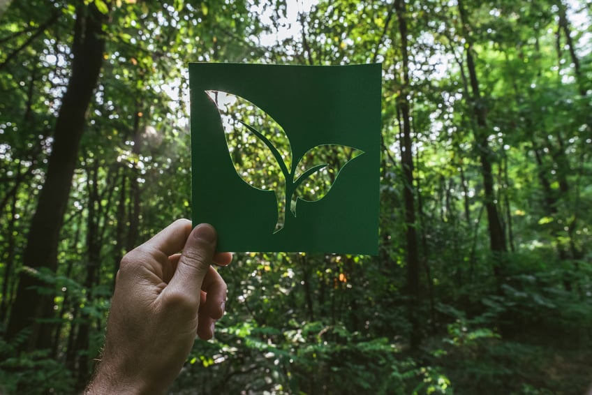 Hand holding eco friendly green living symbol